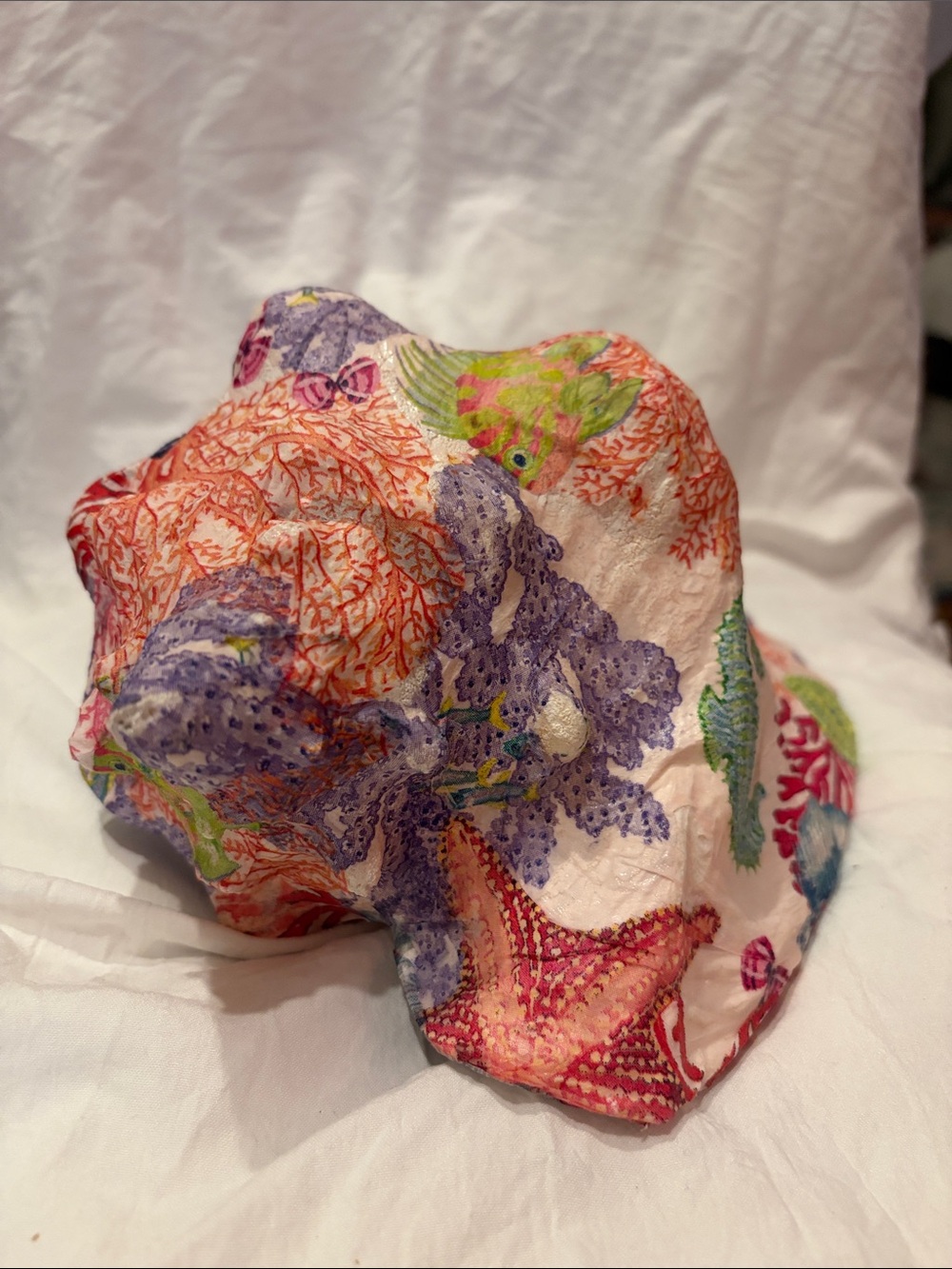 Coral Reef Conch Shell - Multicolor - Picture 3 of 5